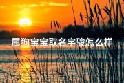 属狗宝宝取名宇骏怎么样