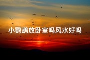小鹦鹉放卧室吗风水好吗