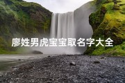 廖姓男虎宝宝取名字大全(廖姓名字)