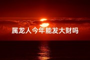 属龙人今年能发大财吗
