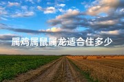 属鸡属鼠属龙适合住多少楼层的房子_属鸡属鼠属龙：楼层选择宜忌揭秘