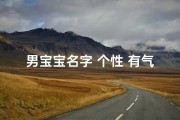 男宝宝名字 个性 有气质—《男宝宝姓氏取名大全集：精选百名佳名》