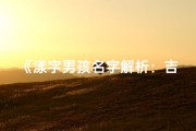 《漾字男孩名字解析：吉祥寓意与取名技巧》