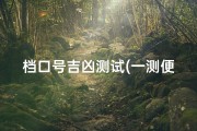 档口号吉凶测试(一测便知：档口号吉凶揭秘，运势好坏立判)