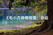 《毛小方命格突变：命运转折点》