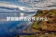 梦到猫的吉凶预示什么-梦到猫到底好不好