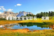 《董姓龙宝宝取名：龙腾盛世，董氏双全》