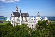 属龙和属牛相处怎么样(属龙属牛好友情谊浓)