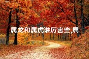 属龙和属虎谁厉害些,属龙虎谁更厉害：龙虎争锋，谁主沉浮？