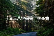 《文王八字揭秘：林焱命运之谜》