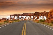 魏子乔名字的含义,魏乔亲子情深，温馨童年时光