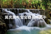 属虎属牛宝宝取名：虎牛结合，巧取佳名