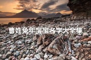 曹姓兔年宝宝名字大全集四个字;《曹姓兔年宝宝名字大全：精选百款吉祥好名》