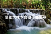 属龙大林木命做什么生意发财,属龙人大林木命宜佩戴朱砂饰品吗？