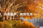鸟语童声，婉转悦耳——小鸟儿般可爱的女孩名字