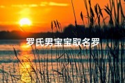 罗氏男宝宝取名罗