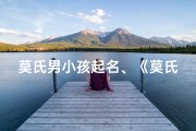 莫氏男小孩起名、《莫氏男孩成长记：快乐童年时光》