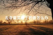 去寺庙买剩下的香怎么办—寺庙香火剩香如何处理：巧用创意变废为宝