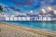 萌宝取名指南：八月猪宝宝的特别命名大揭秘