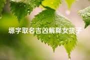 塬字取名吉凶解释女孩子—《塬上花开，吉祥如意：女孩名字吉凶解析》