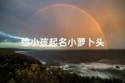 给小孩起名小萝卜头