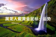 属龙人戴黄金鼠标：运势提升还是招财引灾？