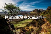 林宝宝取名意义深远吗—林姓宝宝