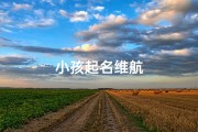 小孩起名维航