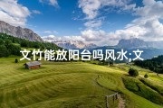 文竹能放阳台吗风水;文竹阳台摆放风水解析：旺运还是招灾？