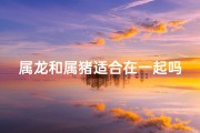 属龙和属猪适合在一起吗