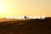 塑料花是风水大忌吗,塑料花摆放风水禁忌：真的会影响运势吗？