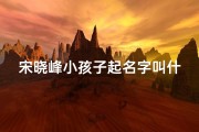 宋晓峰小孩子起名字叫什么、宋晓峰真名就叫宋晓峰吗？