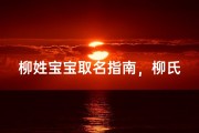柳姓宝宝取名指南，柳氏新生儿命名宝典