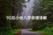 90后小伙八字命理详解—《90后小伙八字命理揭秘：命运轨迹深度解析》