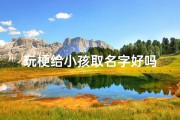 玩梗给小孩取名字好吗
