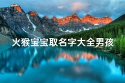 火猴宝宝取名字大全男孩(属猴宝宝取名大全)
