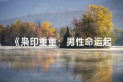 《枭印重重：男性命运起伏之谜》