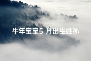 牛年宝宝5 月出生姓孙—孙姓牛宝宝，五月生辉，吉祥如意好名推荐