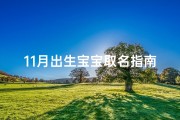 11月出生宝宝取名指南，结合节气与星座的命名技巧