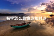 名字怎么算命运和财运(《姓名命理运数揭秘：吉凶预兆一览无遗》)