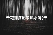 干花到底影响风水吗(干花摆放风水影响揭秘)