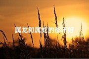 属龙和属蛇的都不好