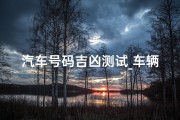 汽车号码吉凶测试_车辆号码吉凶一测便知，得分揭秘运势