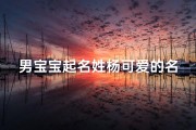 男宝宝起名姓杨可爱的名字,2021年给男宝宝起名姓杨