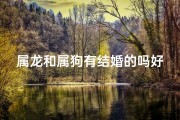 属龙和属狗有结婚的吗好吗,属龙的人和属狗的人能结婚吗
