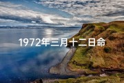 1972年三月十二日命格-1972年3月12日命格：揭秘生命密码