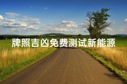 牌照吉凶免费测试新能源_新能源牌照吉凶一测便知