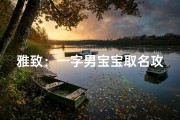 雅致：一字男宝宝取名攻略大揭秘