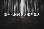 宿州小孩起名大师名单大全集(宿州小孩起名大师名单大全：传承智慧，点亮童梦)