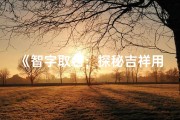 《智字取名：探秘吉祥用字之奥秘》